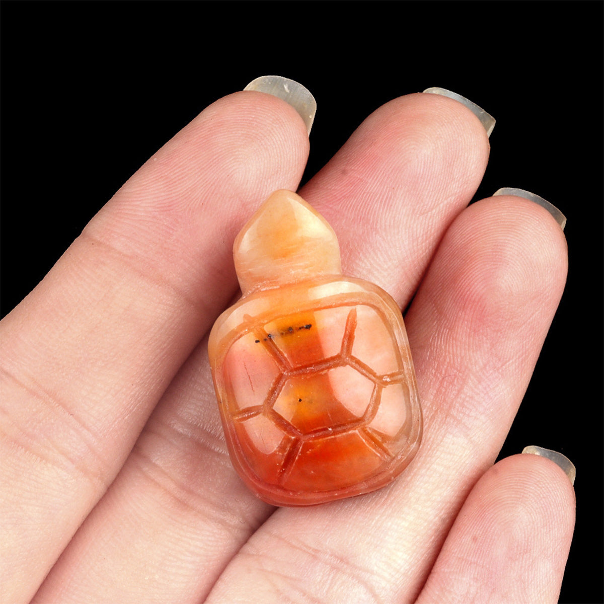 Different Material Tortoise  Carving Home Furnishing Articles