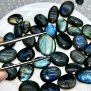 Natural Blue  Purple Flash Labradorite Crystal Palm