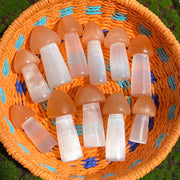 Beautiful Selenite Mushroom