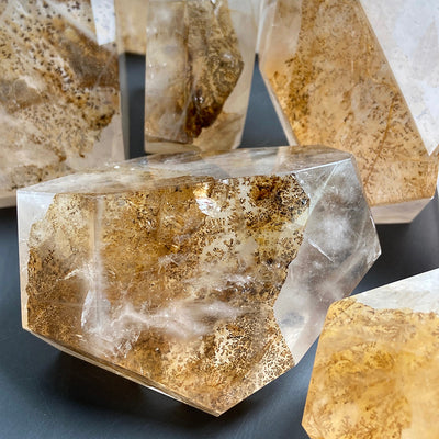 Natural Dendritic Free Form