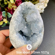 Natural Blue Celestite Geode Specimens - Heart / Drop / Egg Shapes