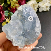 Natural Blue Celestite Geode Specimens - Heart / Drop / Egg Shapes