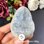 Natural Blue Celestite Geode Specimens - Heart / Drop / Egg Shapes