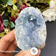 Natural Blue Celestite Geode Specimens - Heart / Drop / Egg Shapes