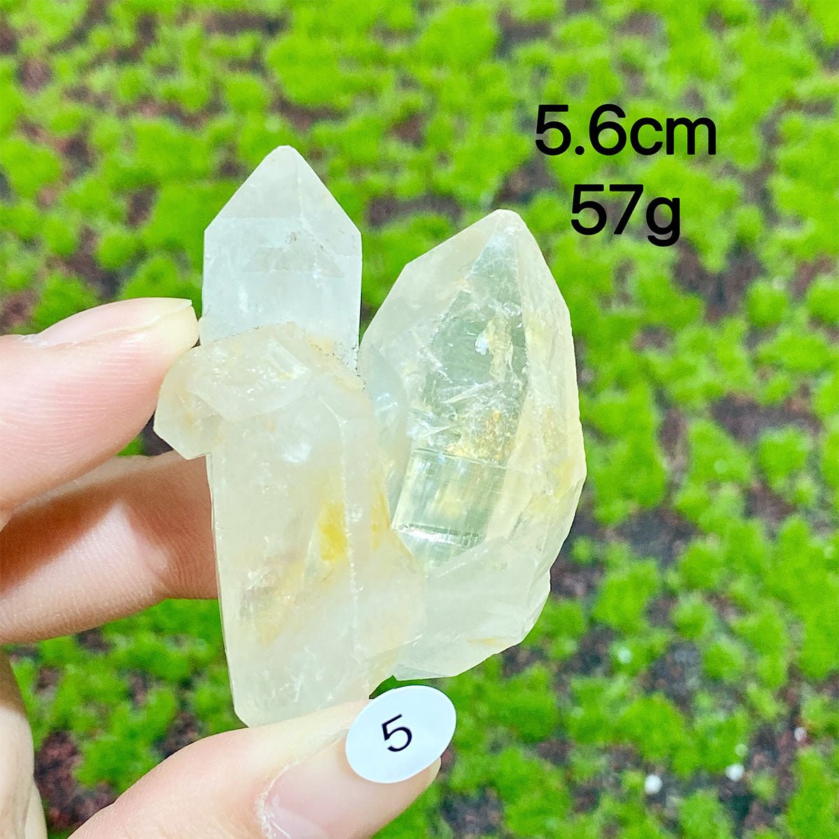 Clear Quartz Natural Crystal  Cluster