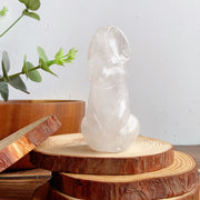 Cute Bunny/Rabbit Carvings (clear quartz & opalite & obsidian & larvikite)
