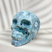 Green Moss Agate Carved Skulls Crystal