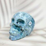 Green Moss Agate Carved Skulls Crystal