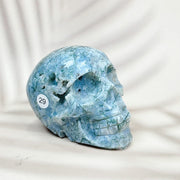 Green Moss Agate Carved Skulls Crystal