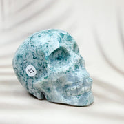 Green Moss Agate Carved Skulls Crystal