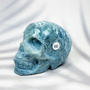 Green Moss Agate Carved Skulls Crystal