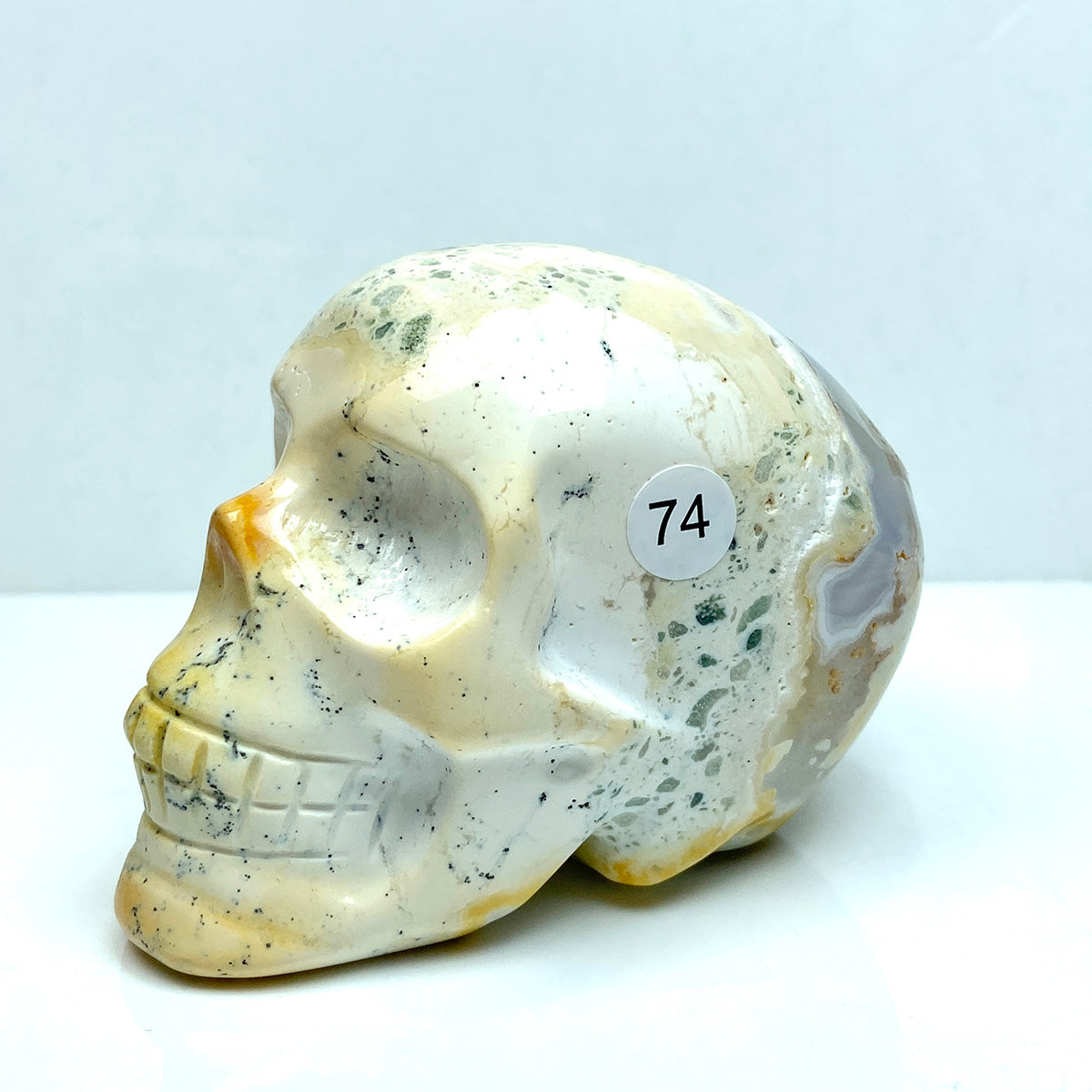 Ocean Jasper Skull Crystal Minerals Reiki Craft Energy Healing Meditation Spiritual Home Decoration