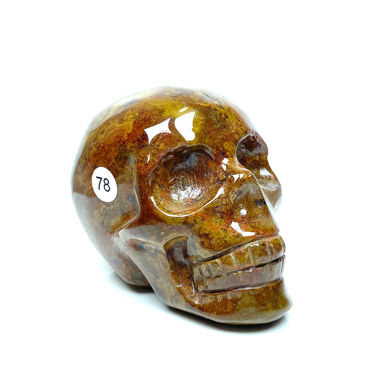 Ocean Jasper Skull Crystal Minerals Reiki Craft Energy Healing Meditation Spiritual Home Decoration