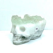 Fluorite Cluster  Carved Crystal Skull