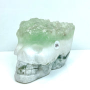 Fluorite Cluster  Carved Crystal Skull