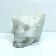 Fluorite Cluster  Carved Crystal Skull