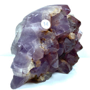 Amethyst Cluster Skull
