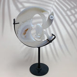 Natural Crystal Druzy Agate Fairy