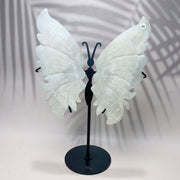 Crystal  Blue Moonstone Butterfly Wing