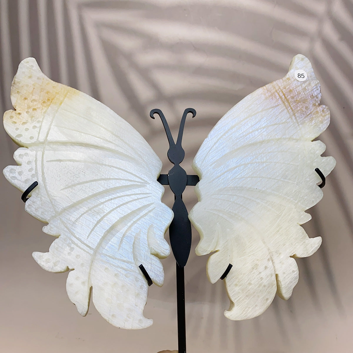 Crystal  Blue Moonstone Butterfly Wing