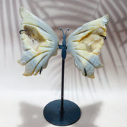 Crystal Carving Druzy Agate Butterfly Wings