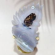 Drazy Agate Indian Skull Crystal Sculpture