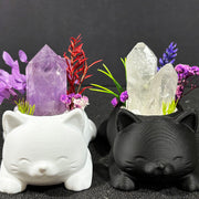 Sweet Cat Natural Crystal DIY Potted Craft Kit for Home Decor