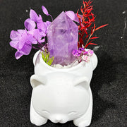 Sweet Cat Natural Crystal DIY Potted Craft Kit for Home Decor