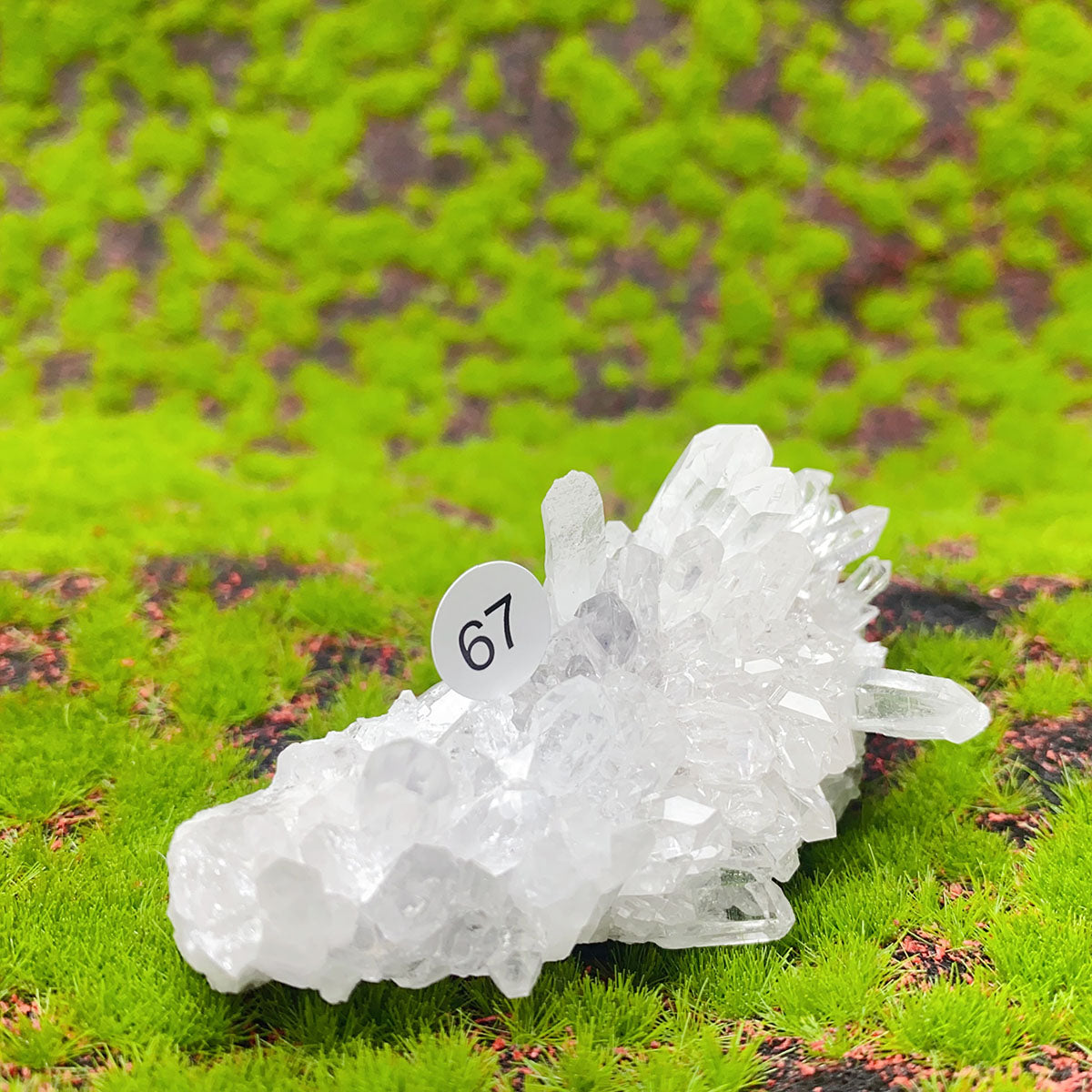 Natural Exquisite Clear Quartz White Crystal Cluster