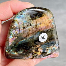 Load image into Gallery viewer, dsbadinkikjkp[;&#39;..&#39;