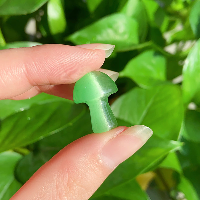 Mix Cat Eye Stone Mushrooms