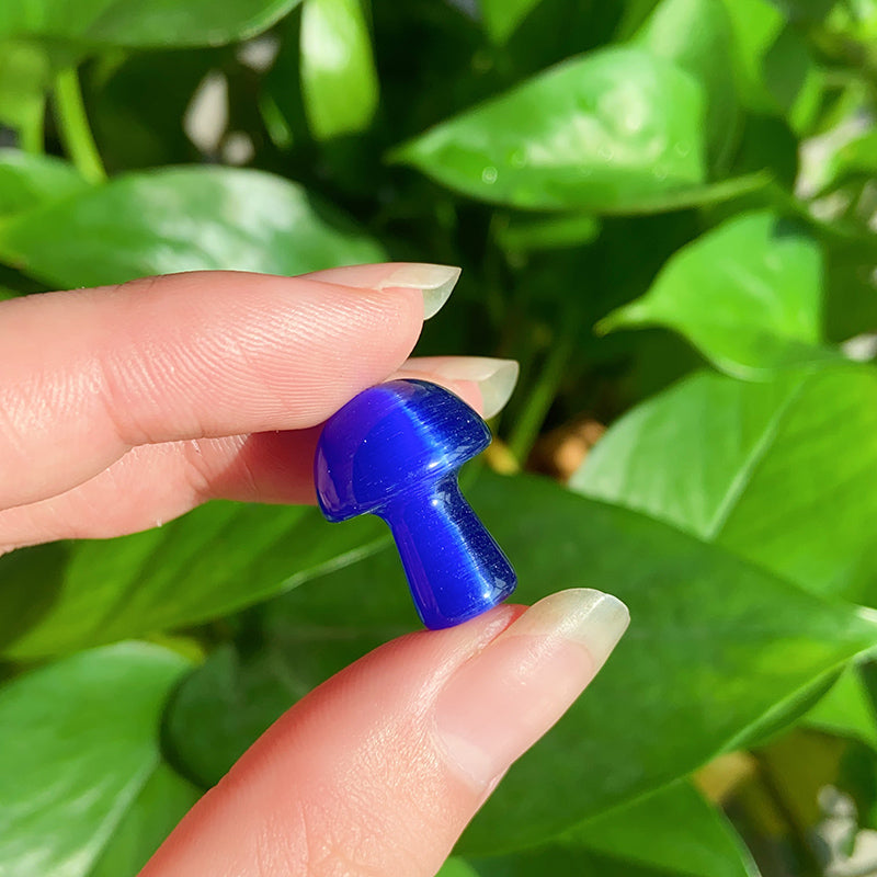 Mix Cat Eye Stone Mushrooms