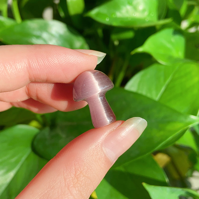 Mix Cat Eye Stone Mushrooms