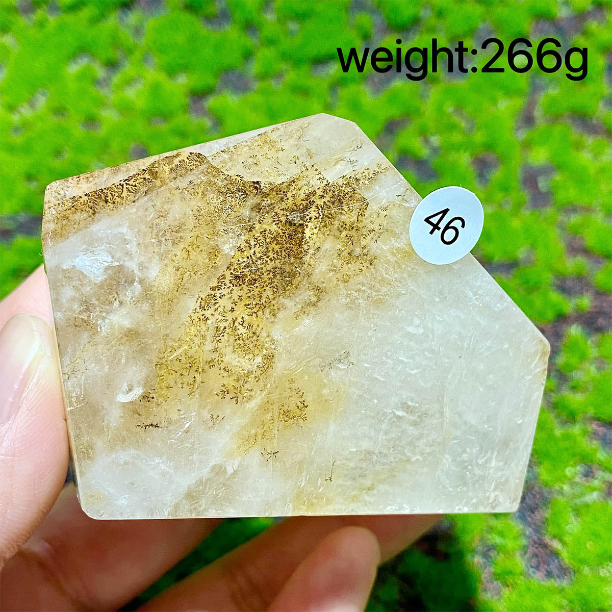 Dendritic Quartz Crystal Freeform