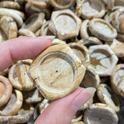 Small Size Petrified Wood Stand