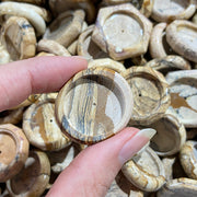 Small Size Petrified Wood Stand
