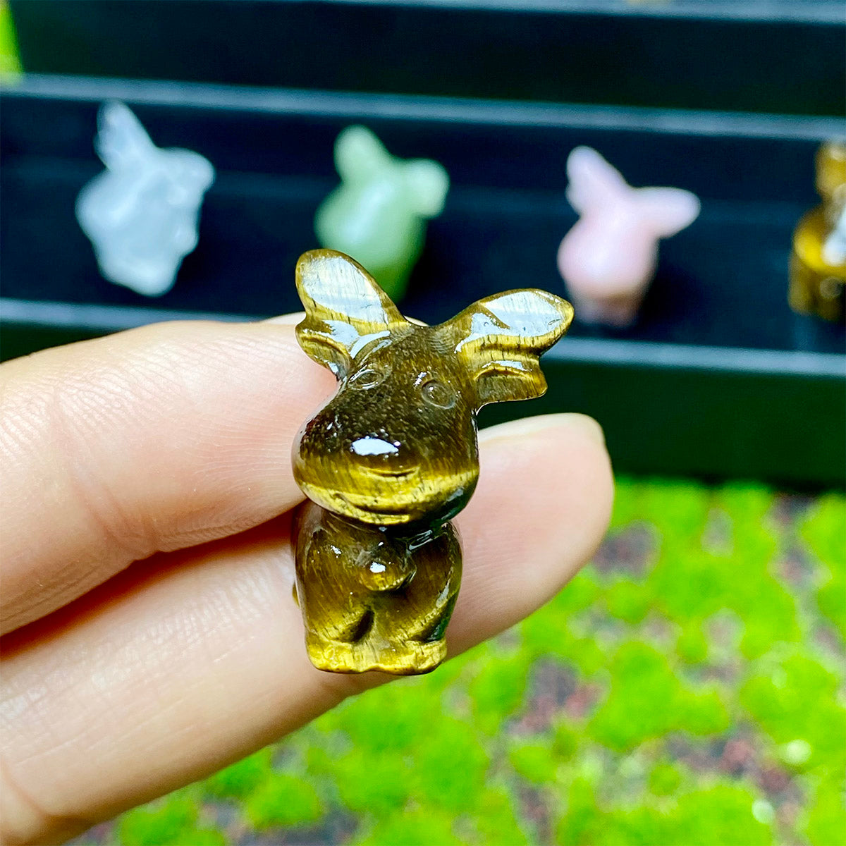 Christmas Crystal Carving Fawn Box Set