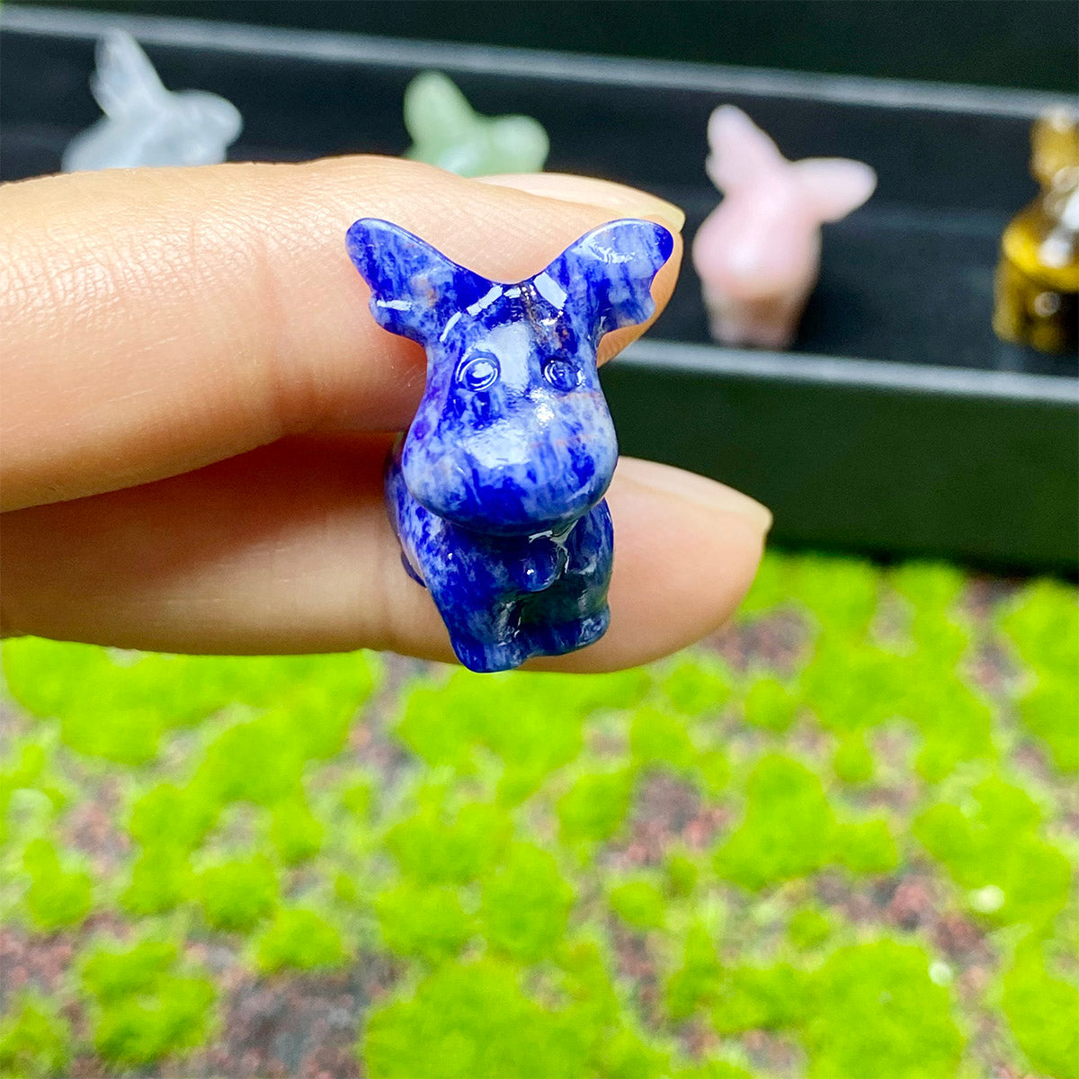 Christmas Crystal Carving Fawn Box Set