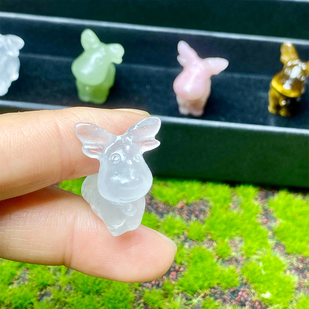 Christmas Crystal Carving Fawn Box Set