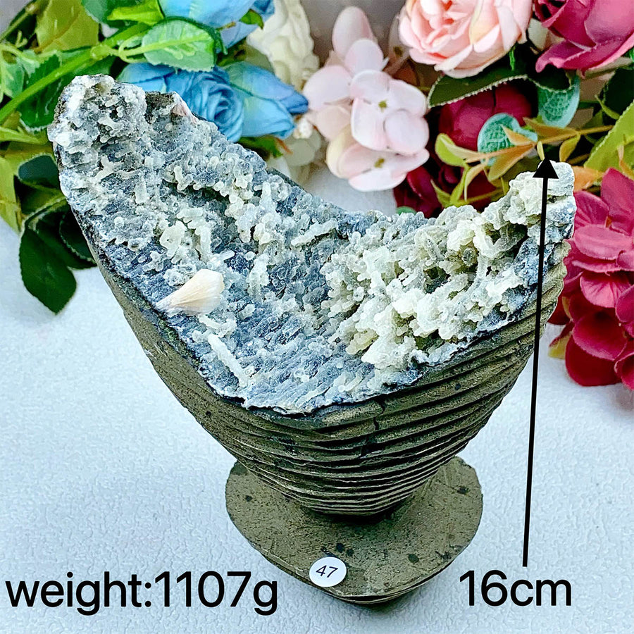 Apophyllite Crystal Mineral Specimen Freeform
