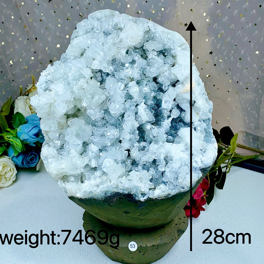 Apophyllite Crystal Mineral Specimen Freeform