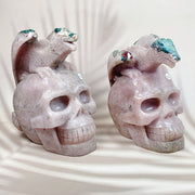 Pink Amethyst Energy Crystal Pterosaur Skull Specimen