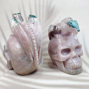 Pink Amethyst Energy Crystal Pterosaur Skull Specimen