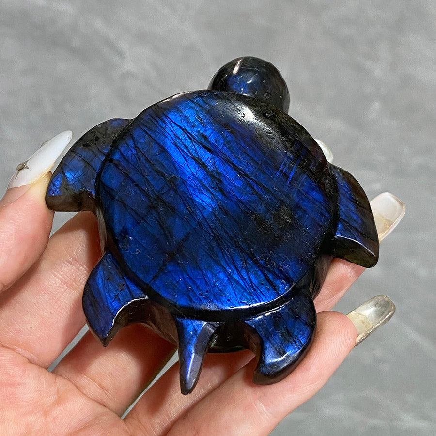 Blue Labradorite Crystal Sea Turtle