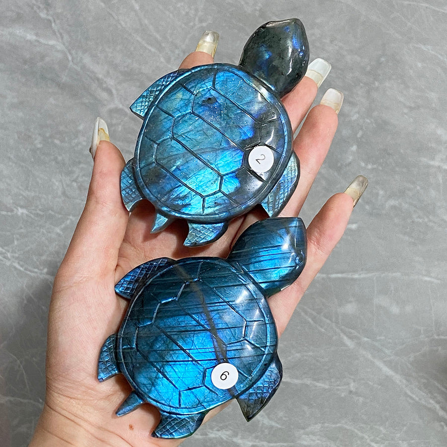 Blue Labradorite Crystal Sea Turtle