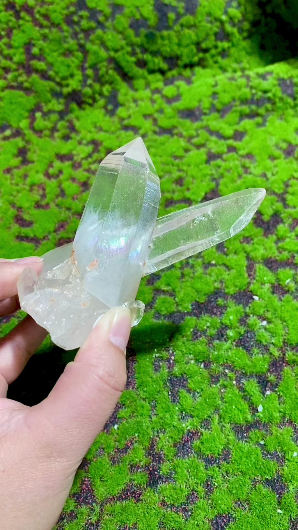 Clear Quartz Natural Crystal  Cluster