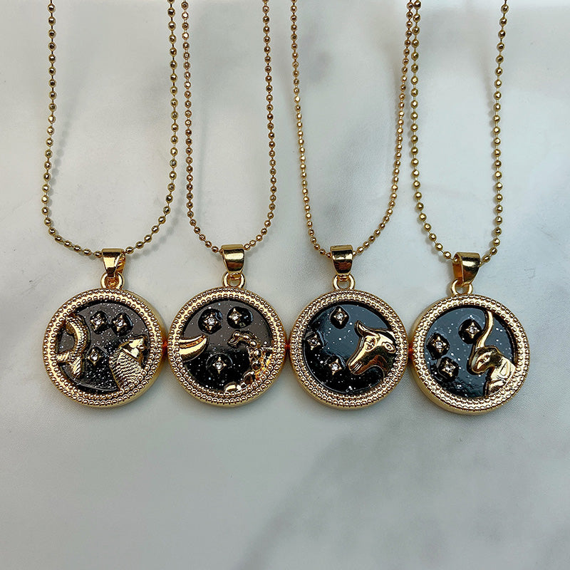 Stainless Steel 12 Constellation Resin Pendant Necklace NC0058