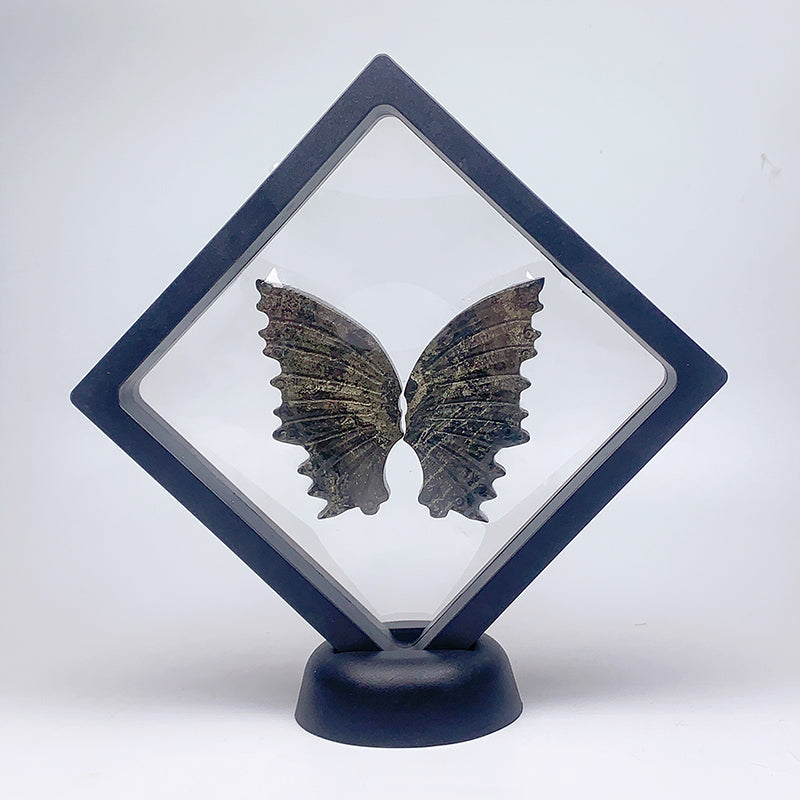 Natural Small Size Butterfly Wings