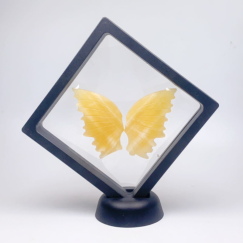 Natural Small Size Butterfly Wings