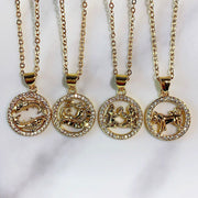 Alloy Stainless Steel 12 Constellation Pendant Zircon Necklace  NA0064